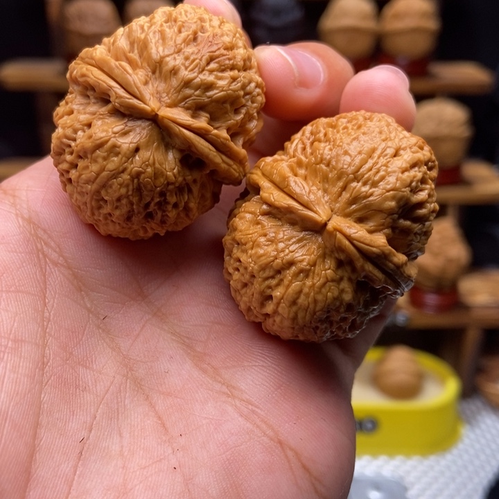 文玩核桃吊坠珊瑚纹元宝20