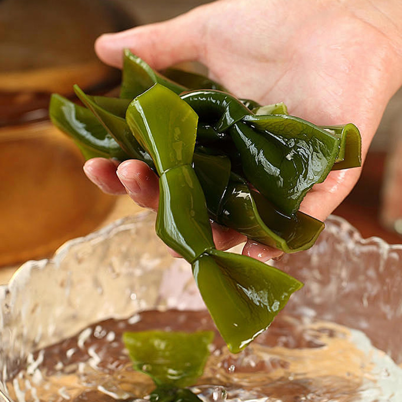 【新品福利】蝶岛海歌东山岛海带结盐渍海带无沙营养炖汤火锅凉拌