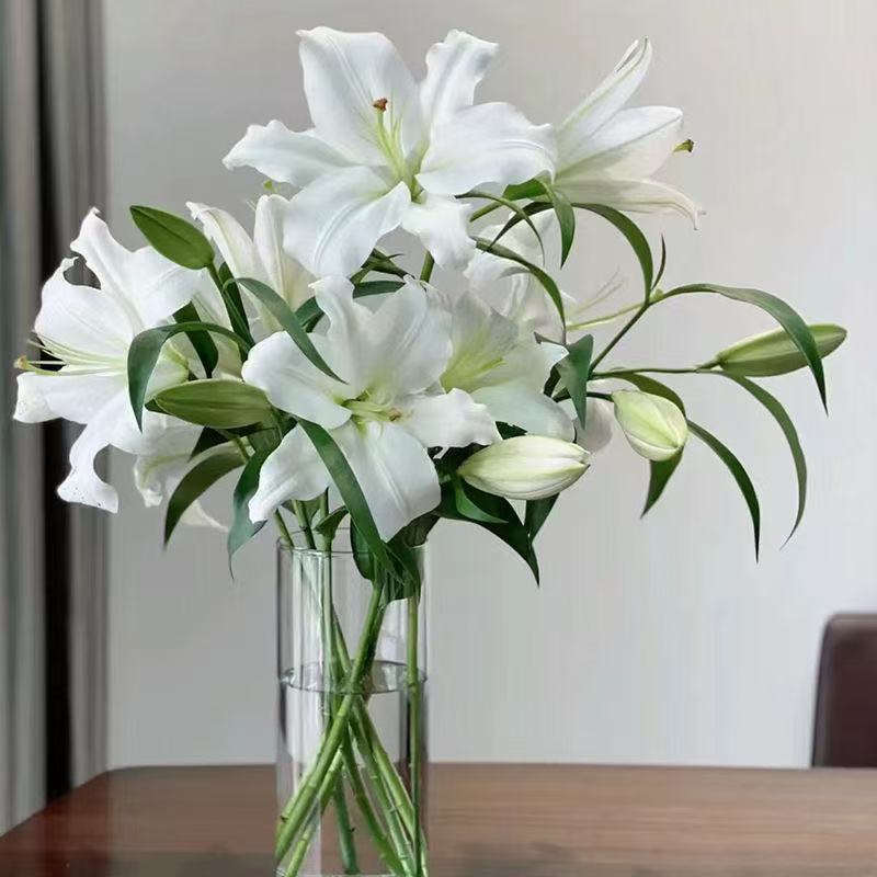 【白百合】西伯利亚清香型细尖花苞型香水百合