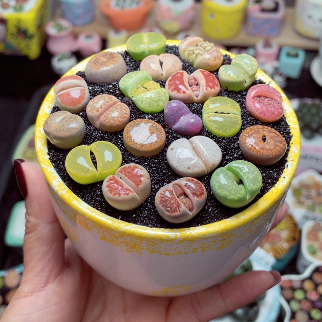 w9736 带盆土发货-零下地区拍保温箱