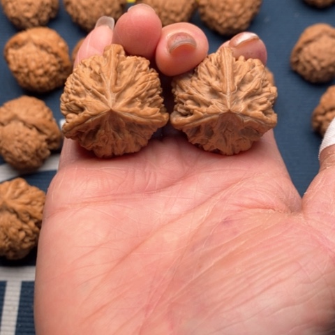 橄榄核手串/手链文山34全品