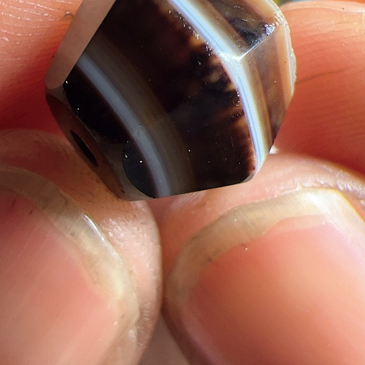 香榧木你的时候你