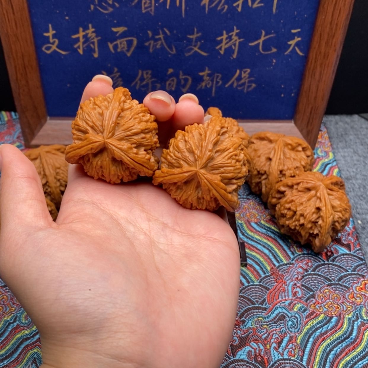 【闪购商品】蜡***眼白狮