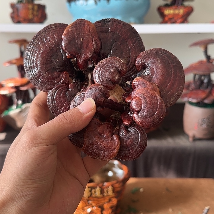 平***康无花朵8888888888888