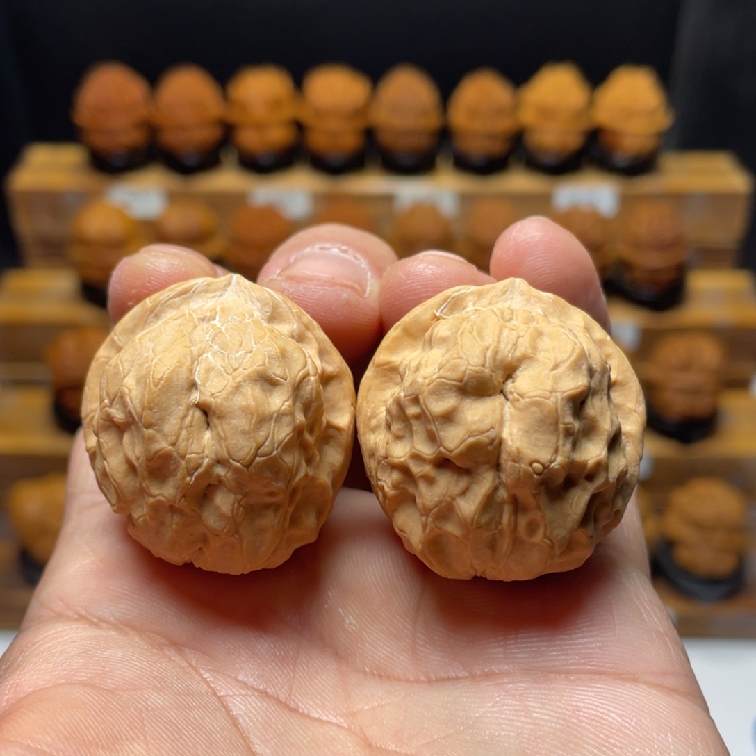 文玩核桃吊坠甲壳虫