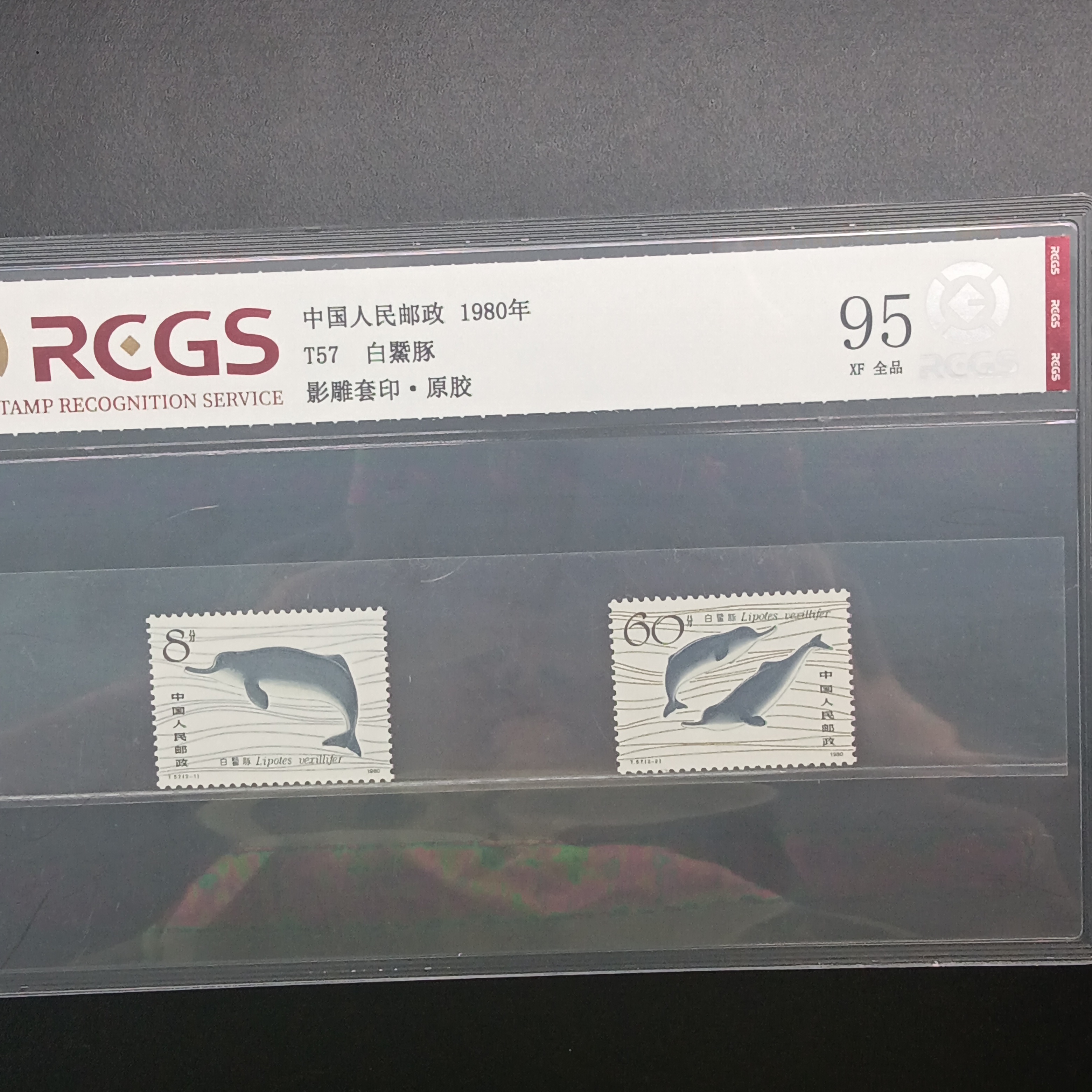 T57白鱀豚邮票95原胶全品1980年发行