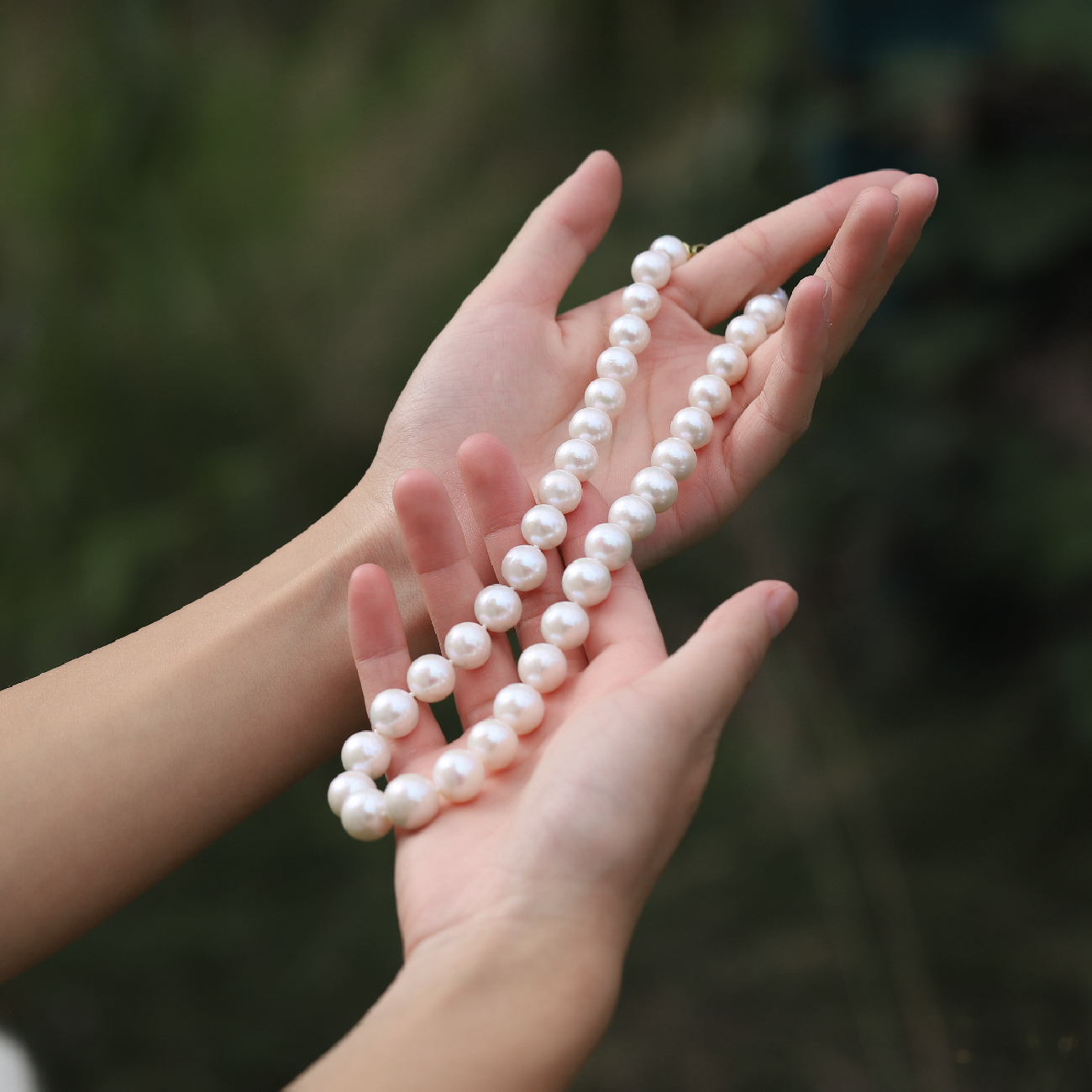 【传承 大白】升级款 淡水珍珠项链 11-14mm 气质 百搭