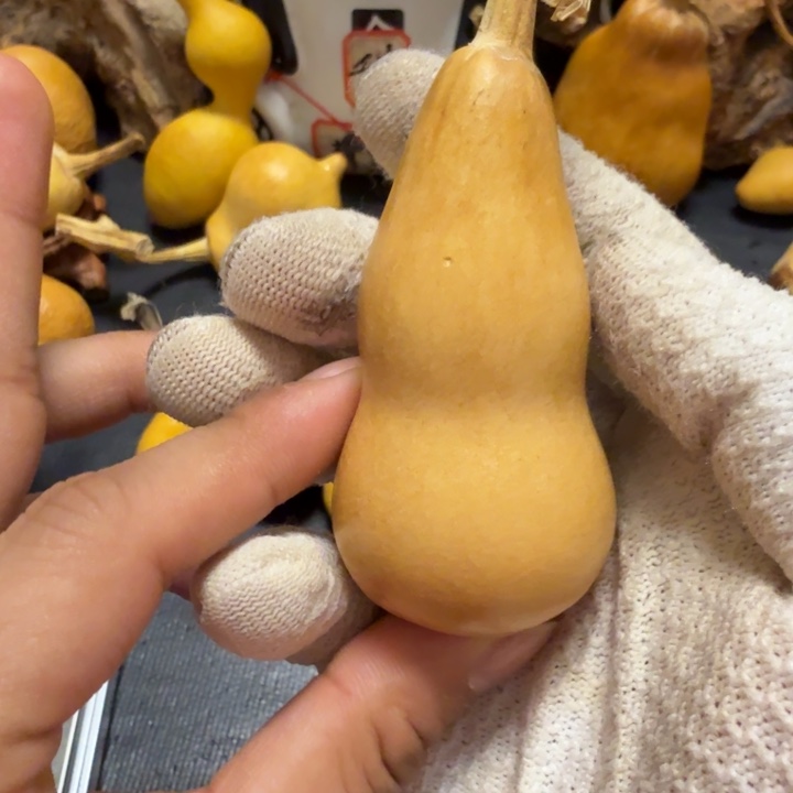 一***布坑666666666666666