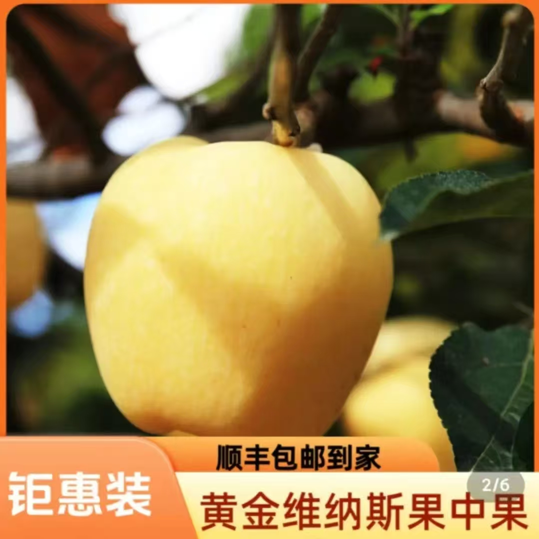 闭眼冲的福利款！到手6枚黄金维纳斯 微瑕果 