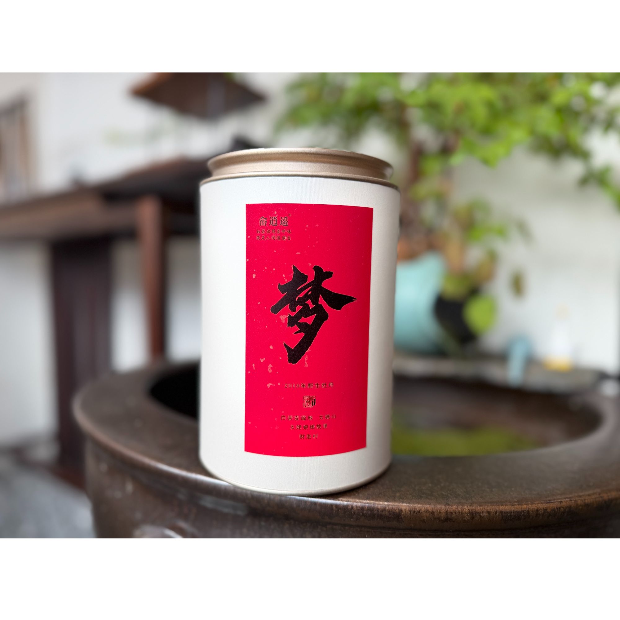 （梦）野生牡丹 太姥山 才堡 高原顶 天门寺