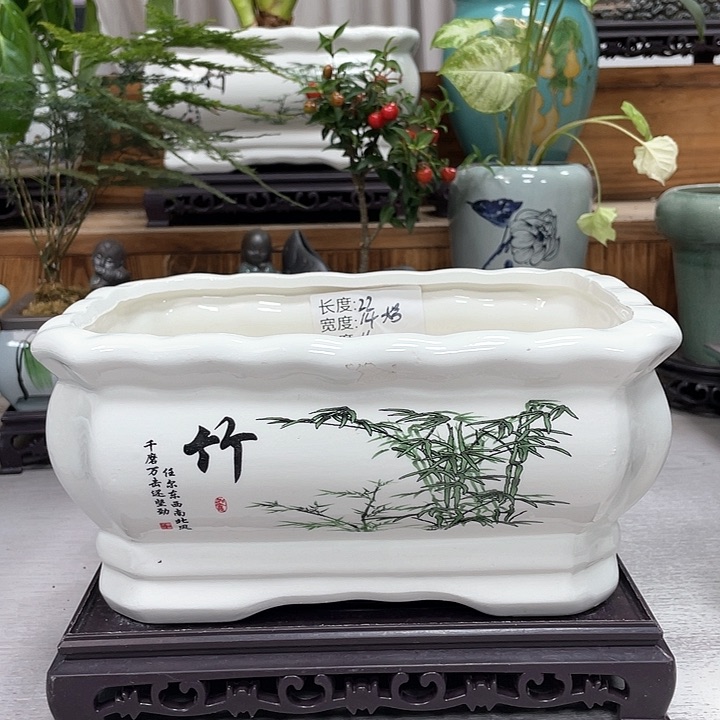 陶瓷花盆抢购福利活动