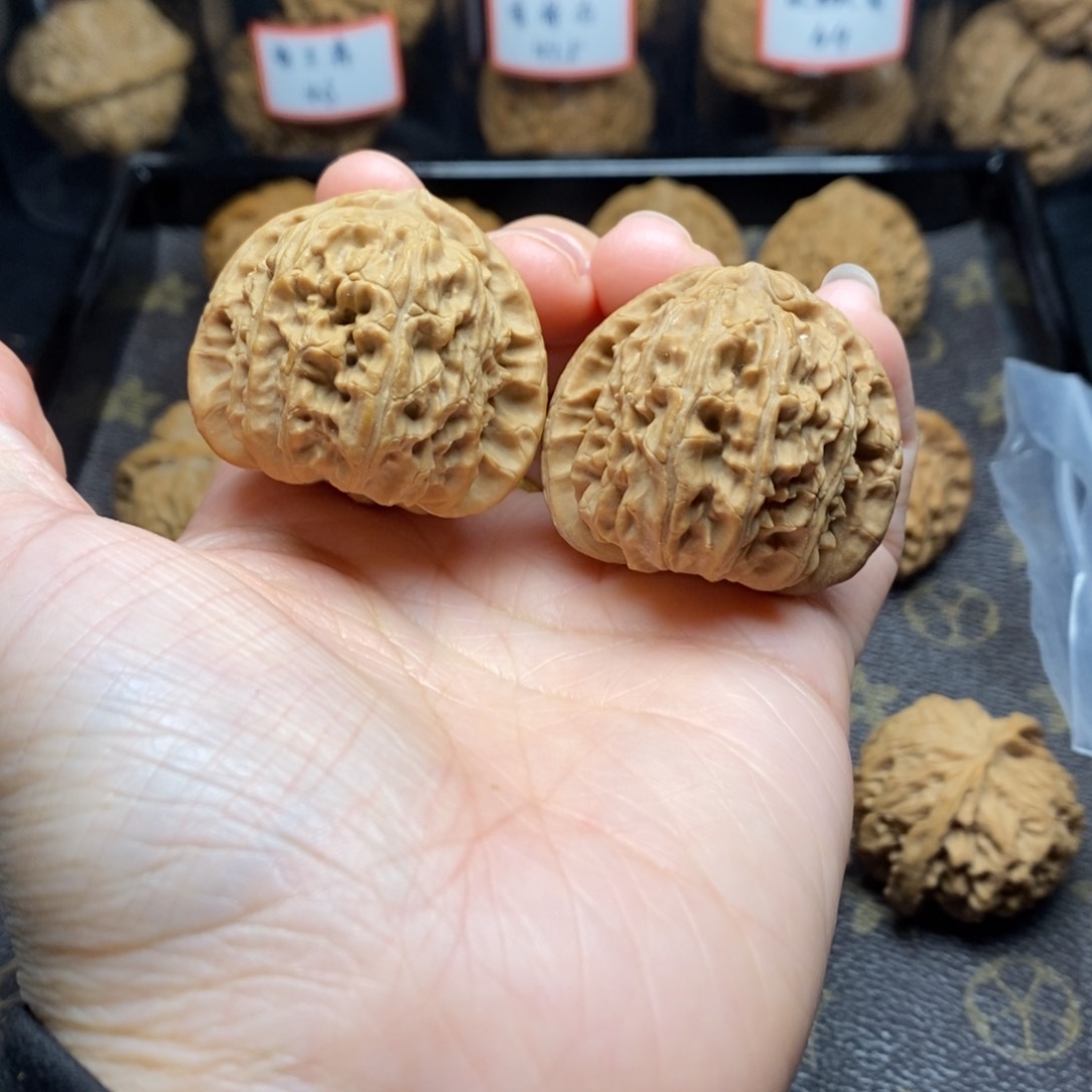 文玩核桃把件如**风白狮子