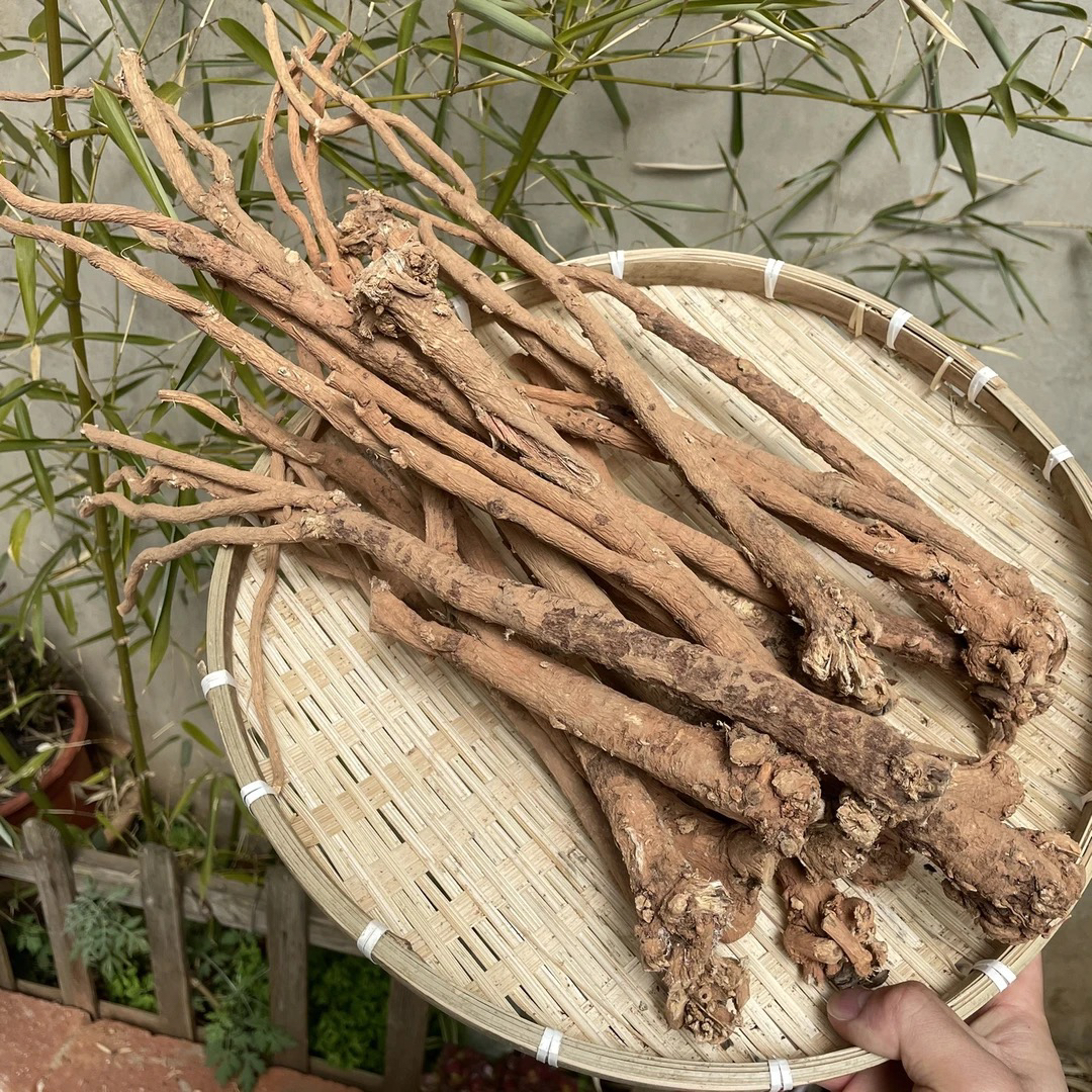 野黄芪云南老黄芪整根切片250g/500g