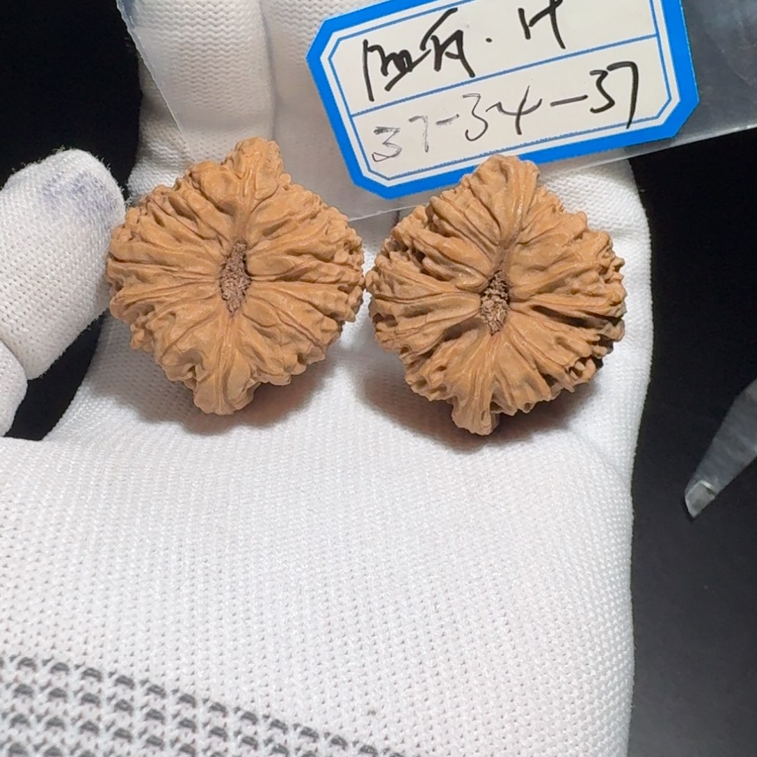 文玩核桃把件65号凹底