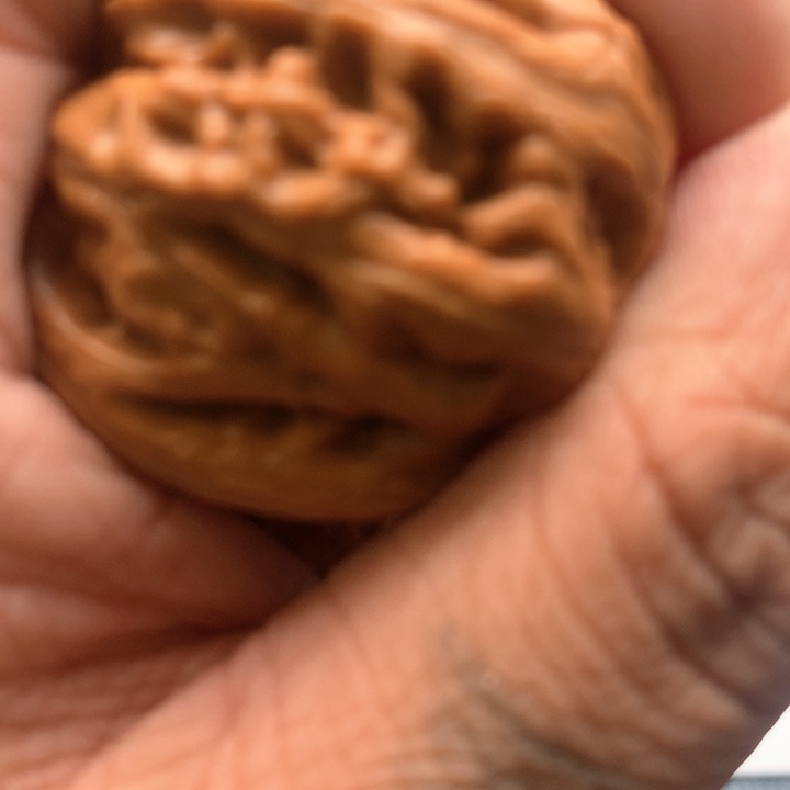 吊坠文玩核桃核桃