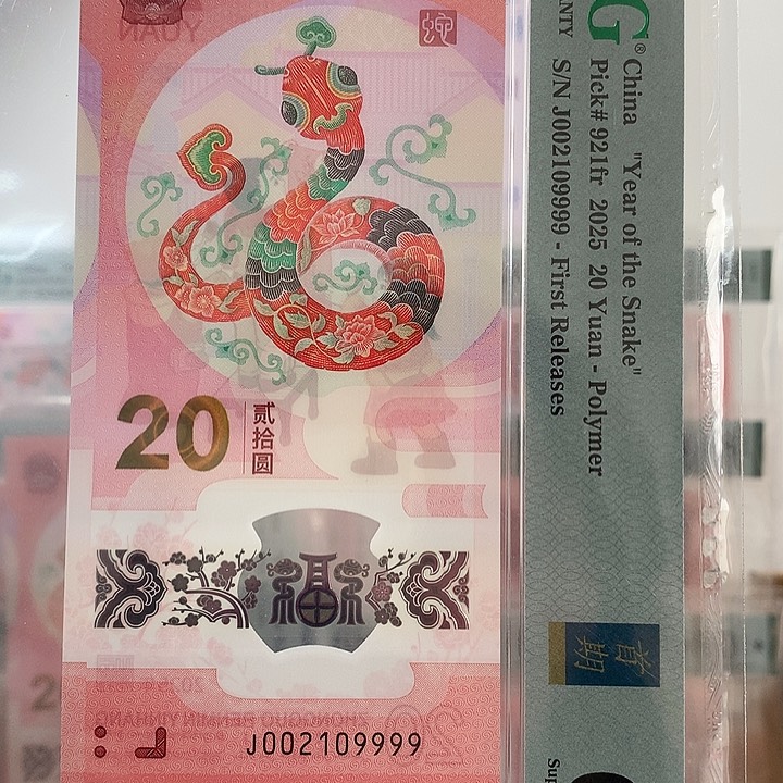塑料如图002109999朦胧号狮子号9999