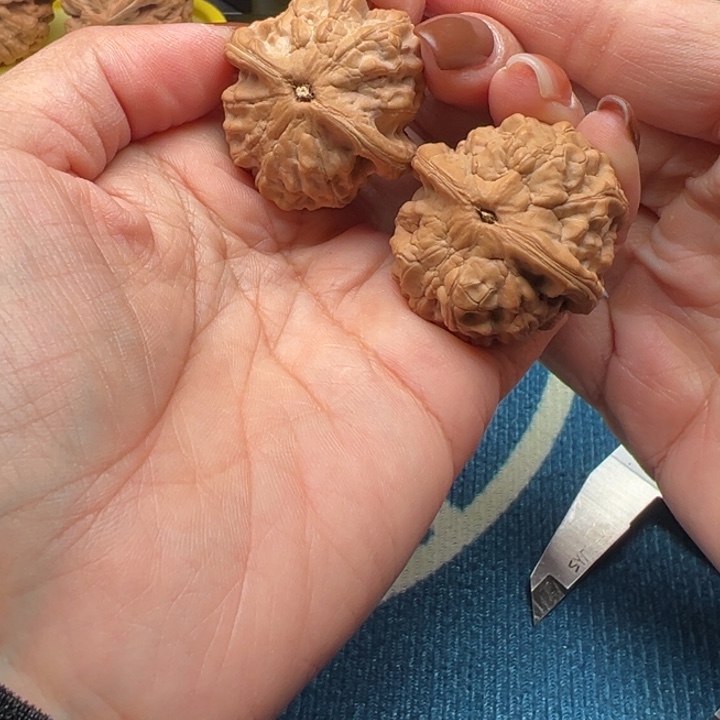 吊坠桃核瀅文玩小金鱼