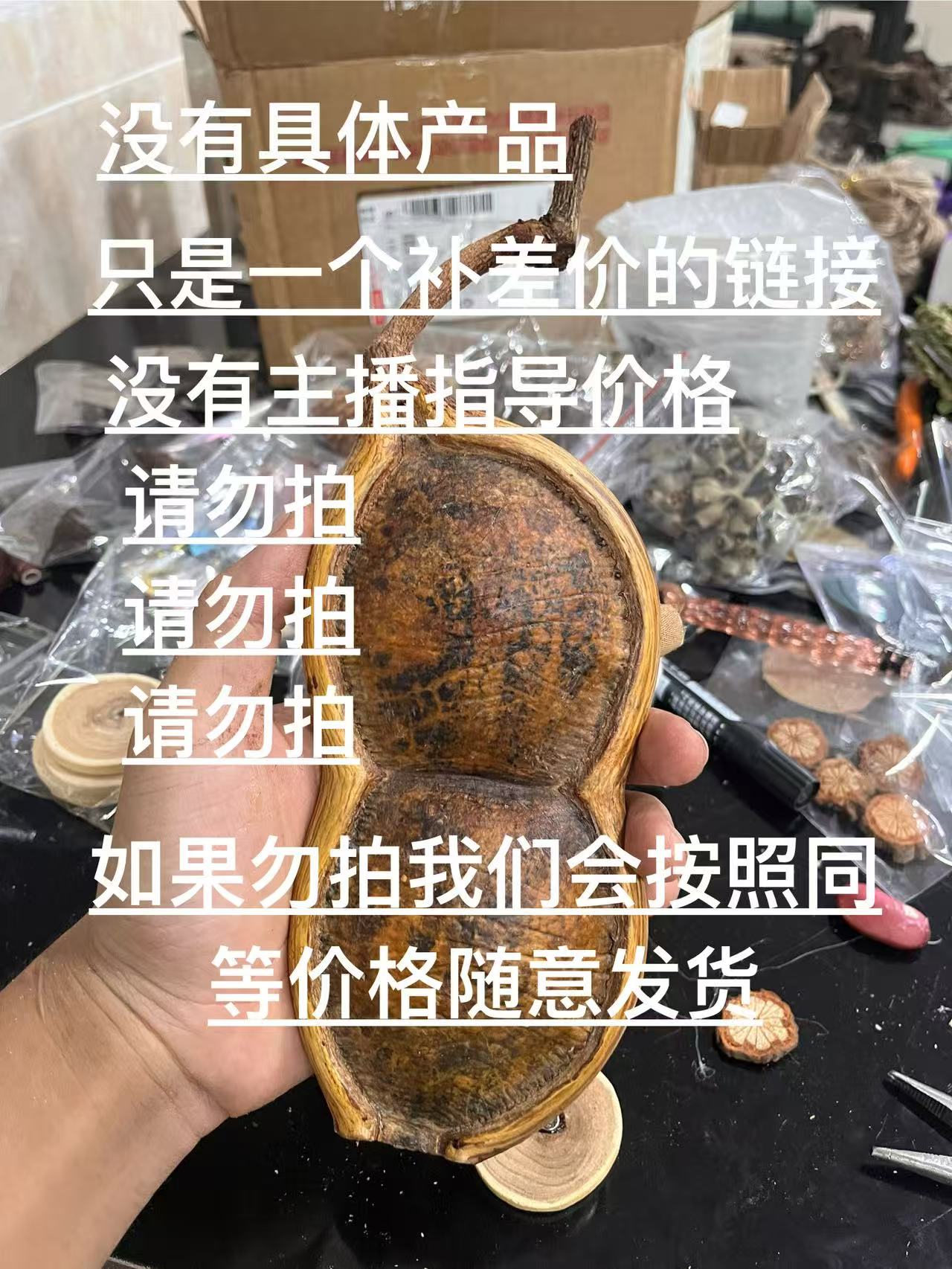 过江龙巨榼藤子热带雨林豆豆荚居家阳台厨房倒挂装饰好物