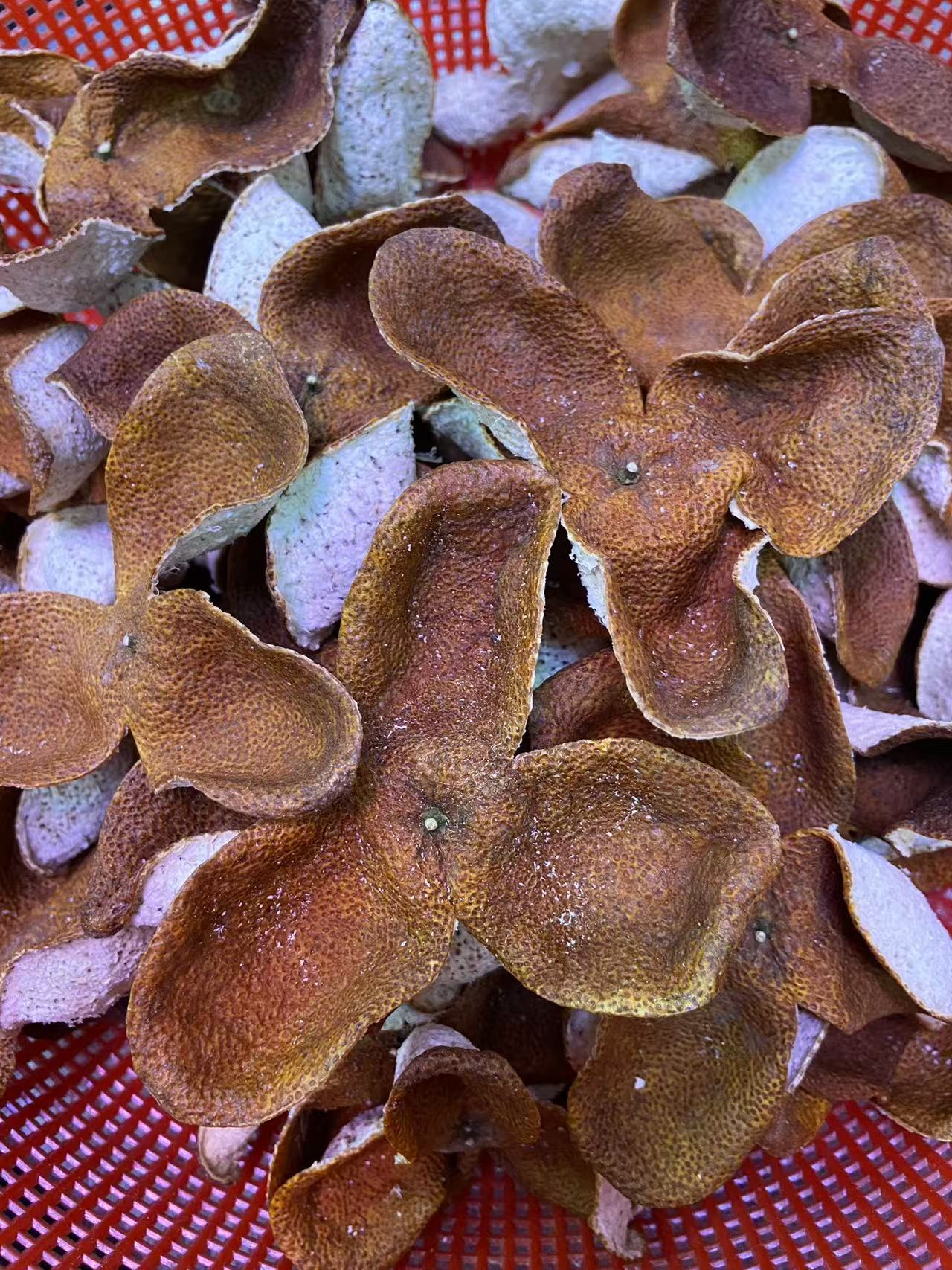 广西浦北2023年 冬后大红皮 软糯香甜