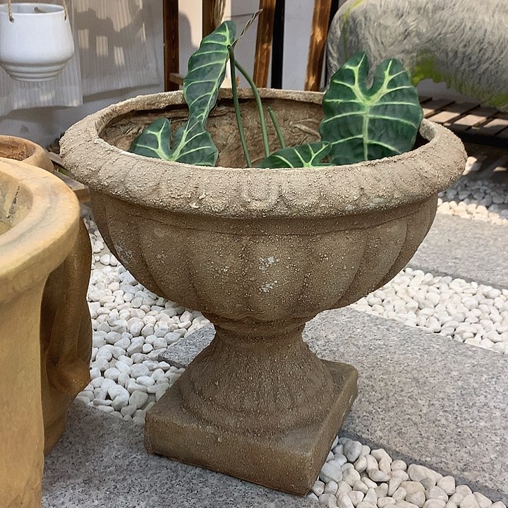 红陶高40宽43口36