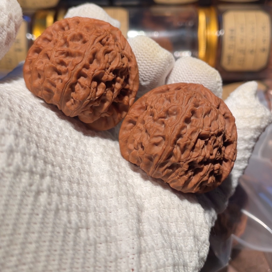 核桃43三角白bbbb