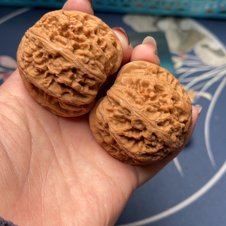 文玩核桃把件粗筋47