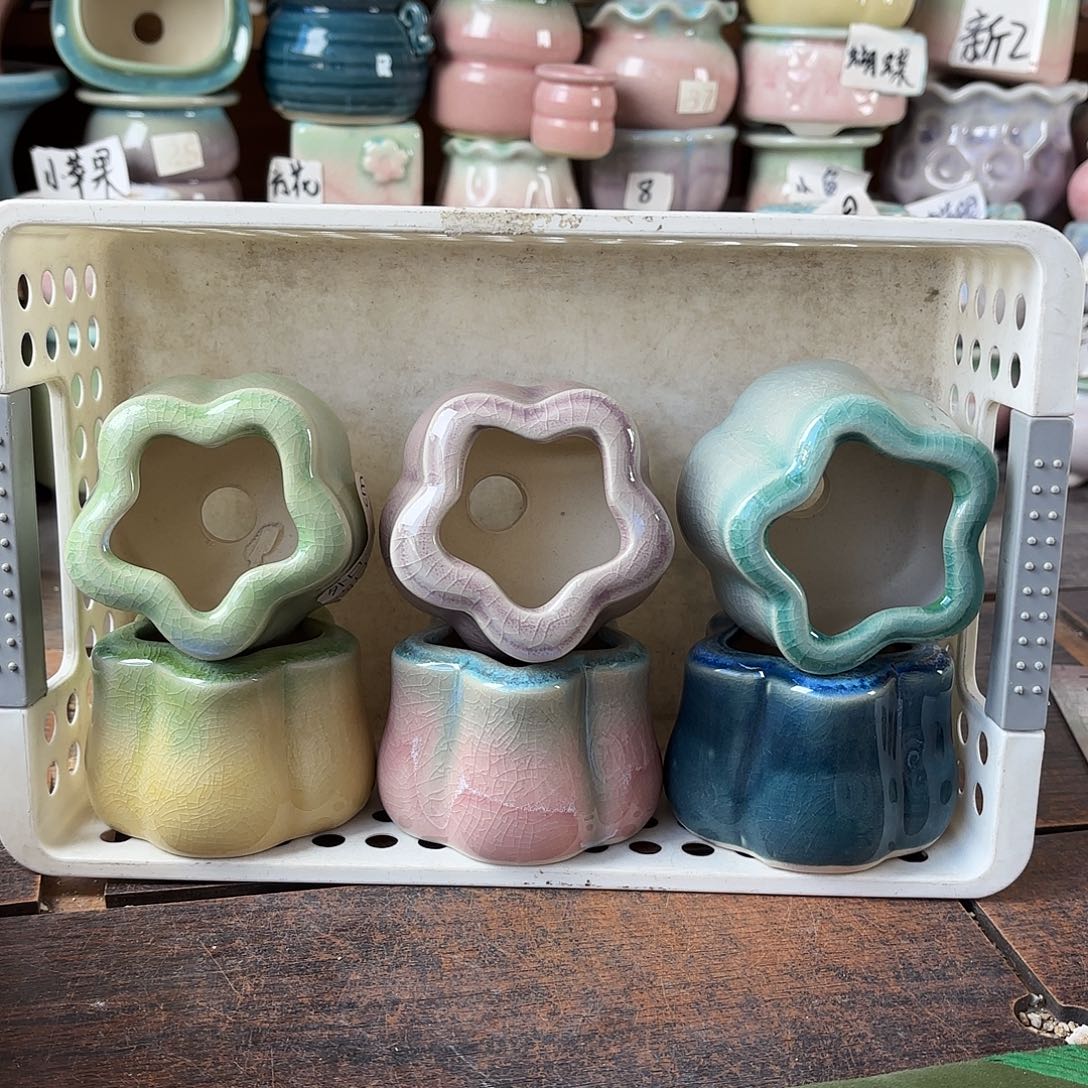 量货/口5高5深浅搭配发6