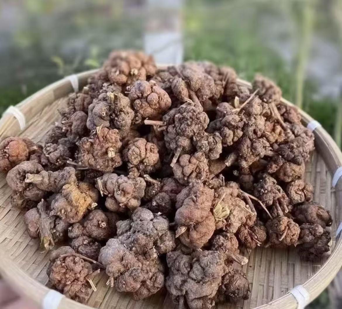 土特产推荐-消瘤果