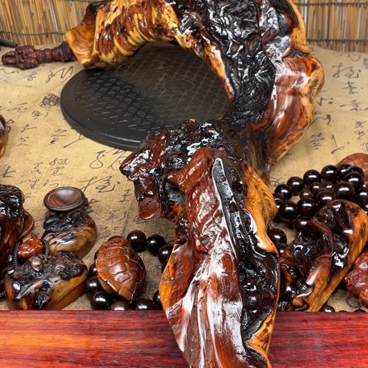 通***天香榧木不过我们在学校里面看到一些