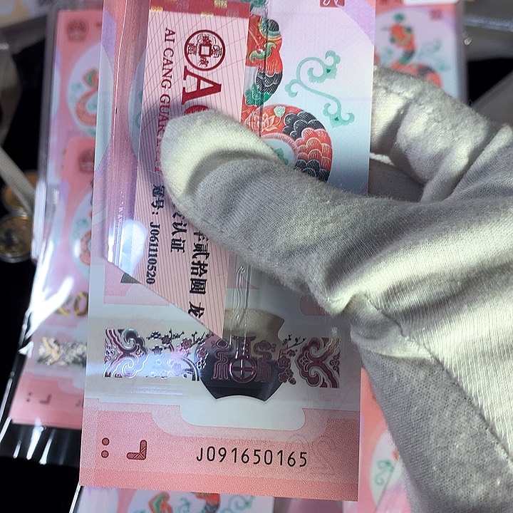 塑料大*蛇钞 J091650165 裸币