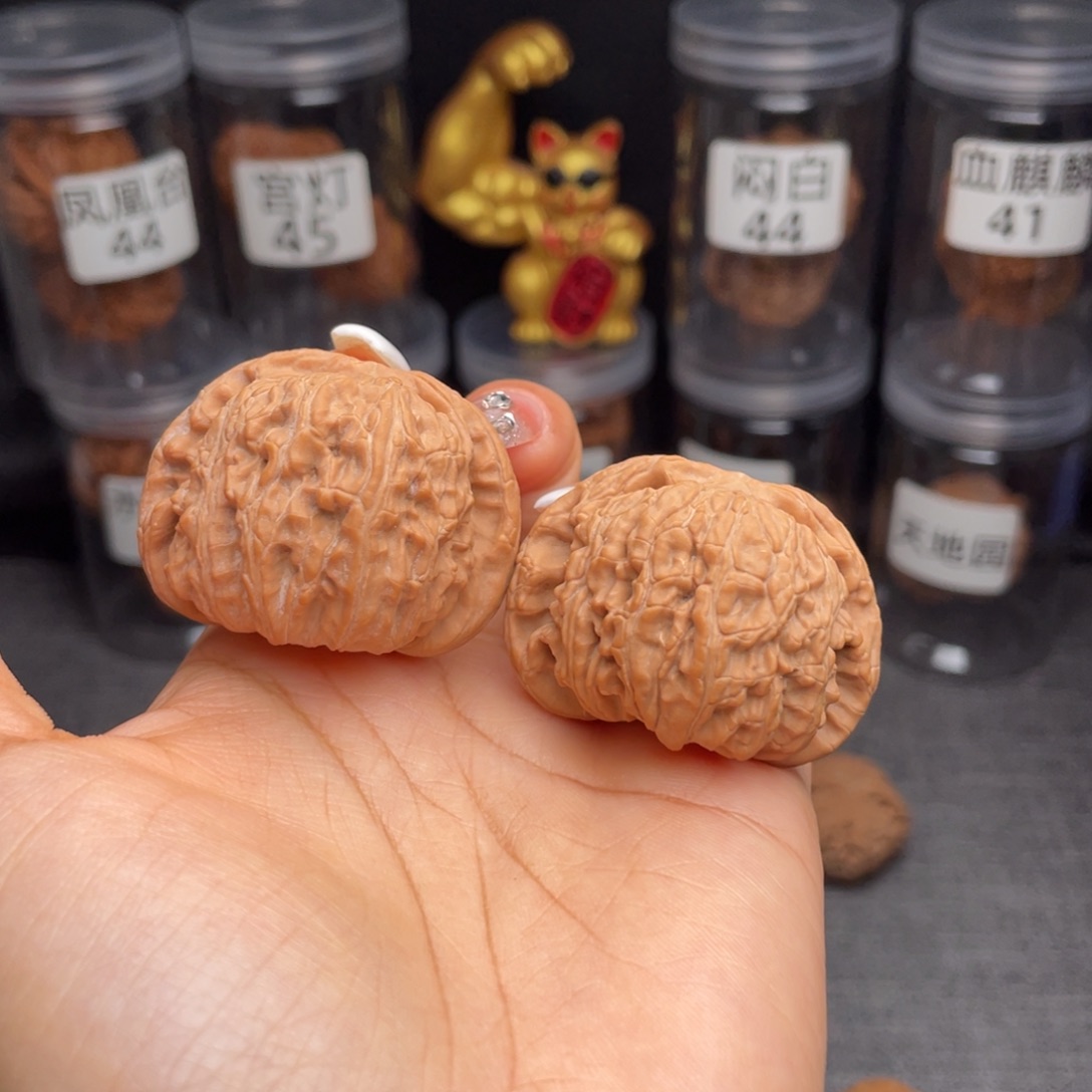 文玩核桃把件爱****猫闷白