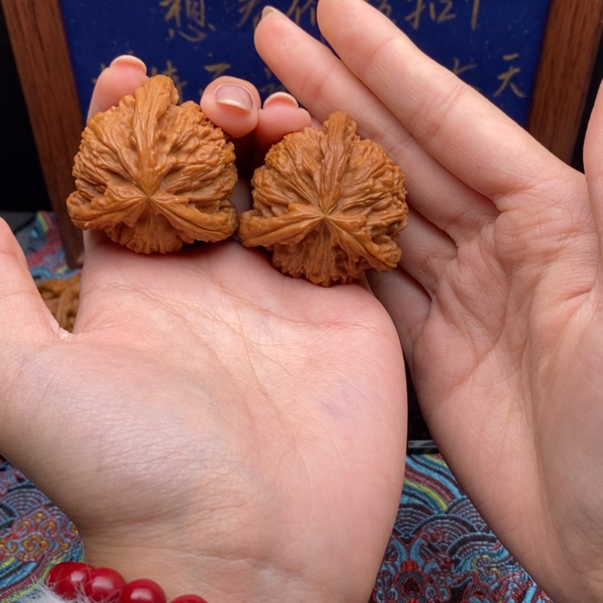 【闪购商品】l****l白狮