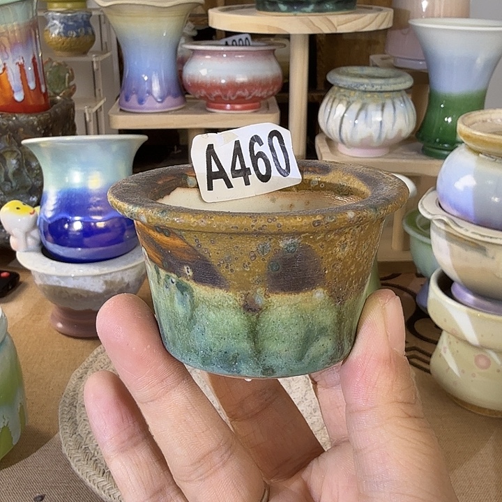 满28包邮当天凑够口5高4