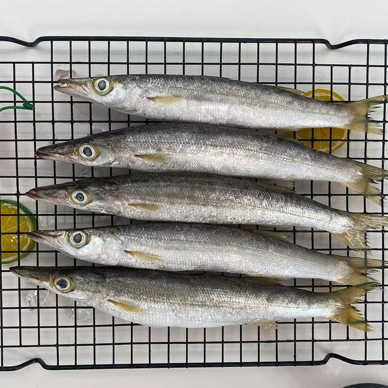 苏君鱼 顺丰冷链厦门发货