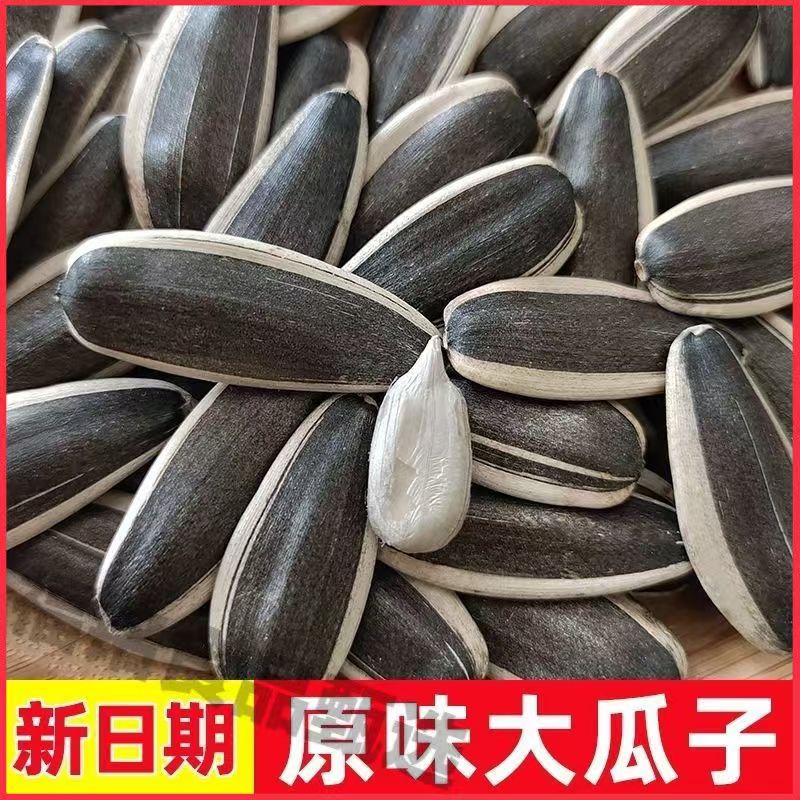 内蒙古原味熟瓜子葵花籽大颗粒开袋即食