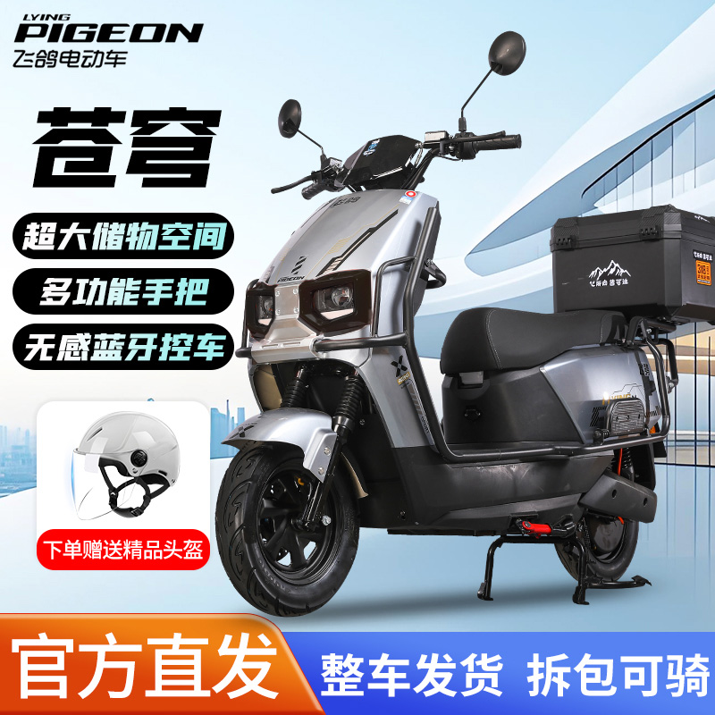 FLYING PIGEON/飞鸽锂电池苍穹电动车长续航外卖高速电摩换电黑二