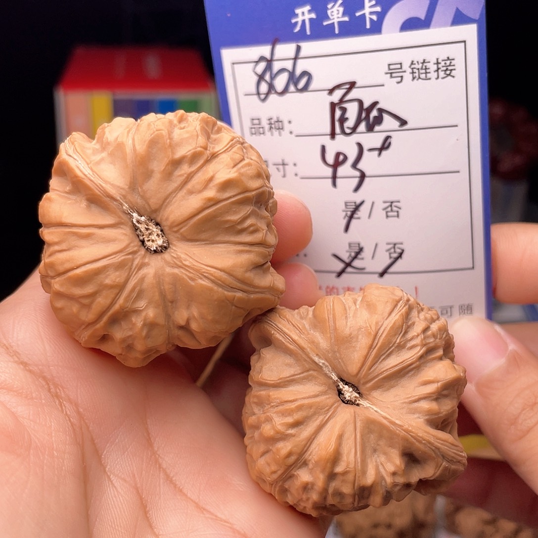 核桃文玩手捻核桃866