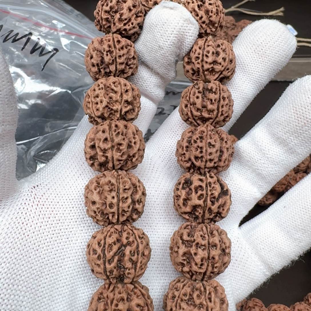 金刚菩提手串站*点19蜂窝双龙