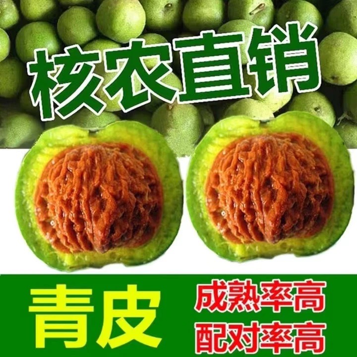 青皮文玩核桃狮子头麒麟纹官帽四座楼精品老树果新果蛤蟆头磨盘