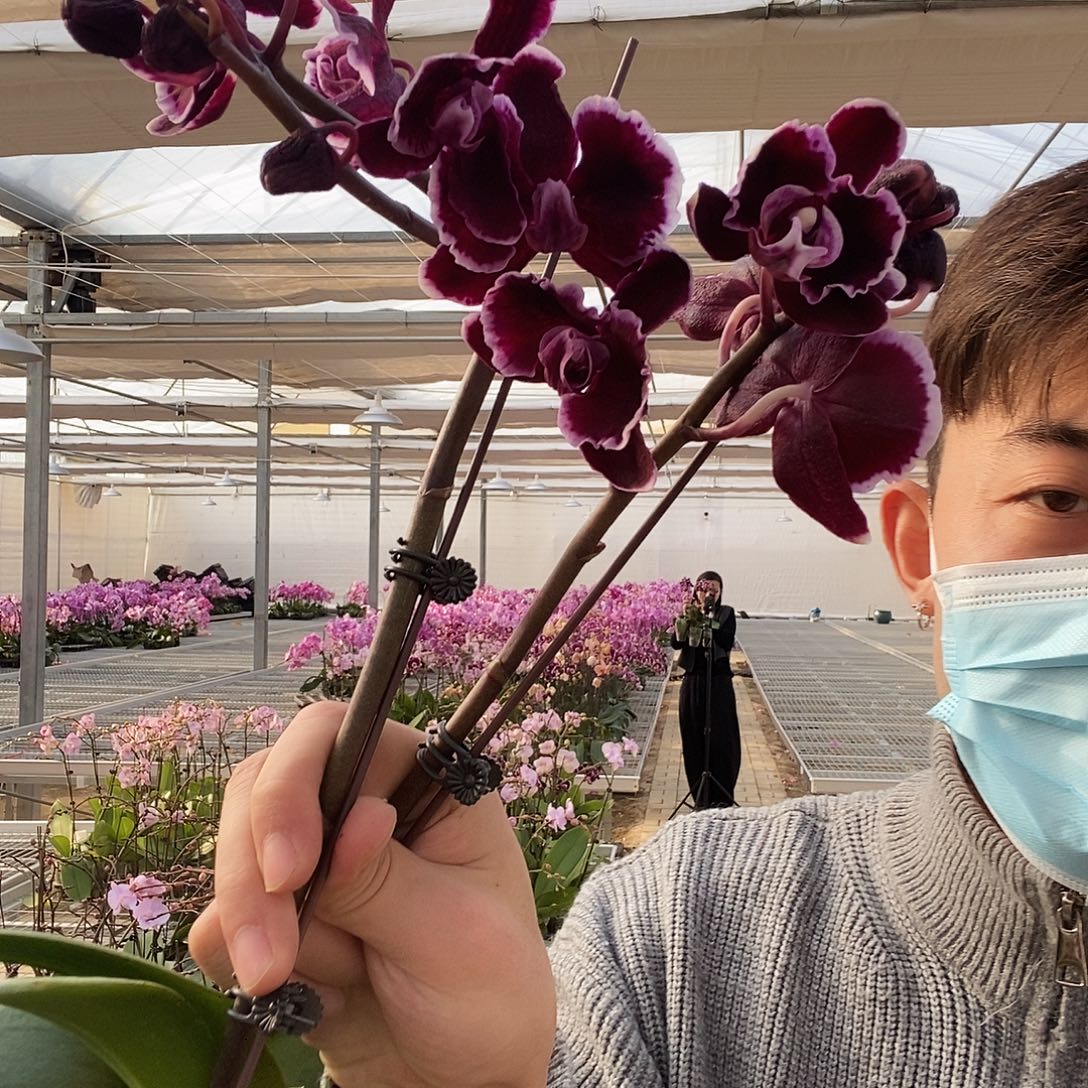 完全开放拉丁舞裙有瑕疵