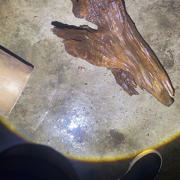 邓***手串/手链楠木（金丝楠）