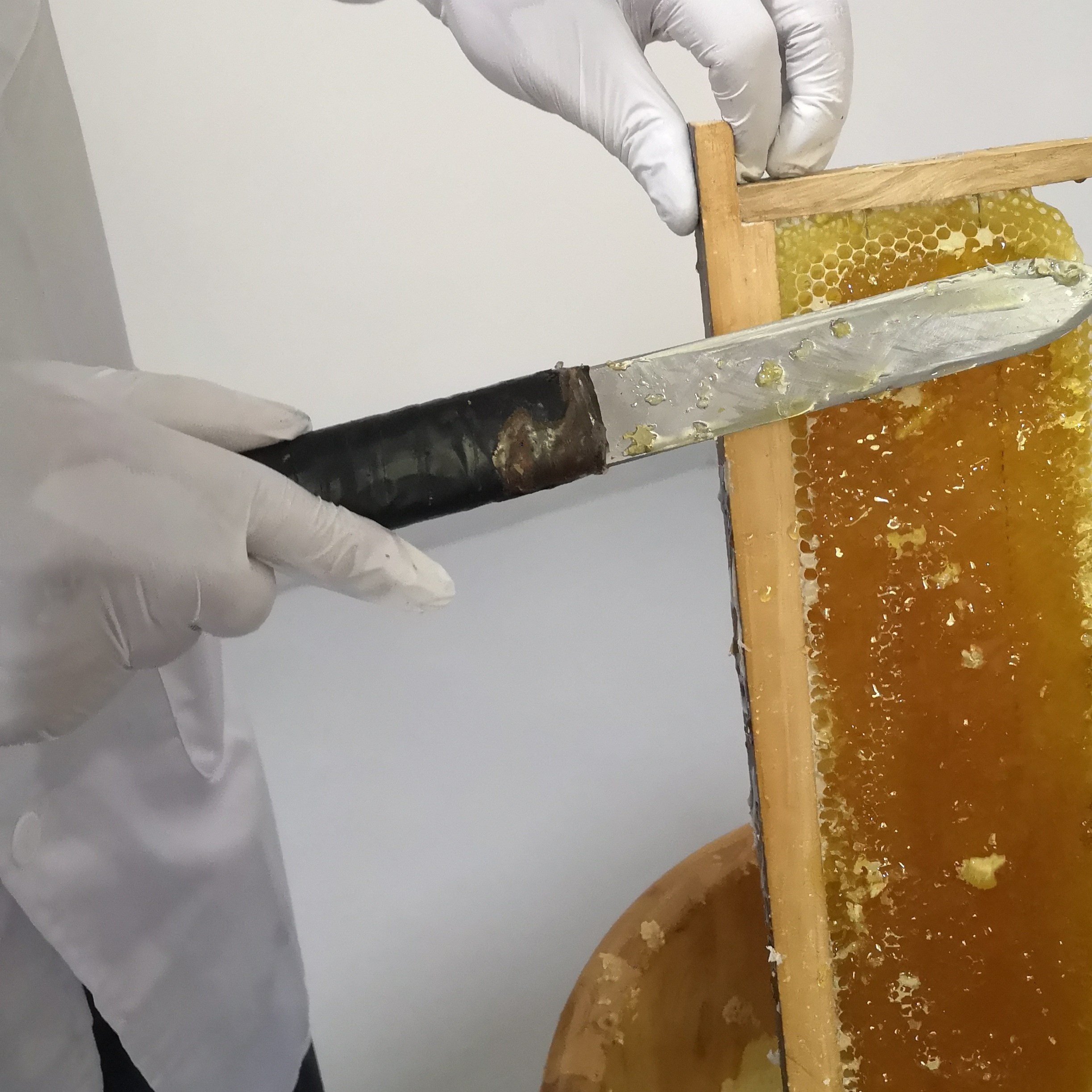 深山中蜂百花蜂蜜土蜂蜜纯正蜂蜜天然野生蜂蜜透明PET瓶装1000克