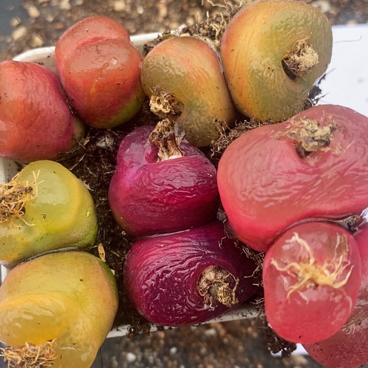 2521一组一组一组