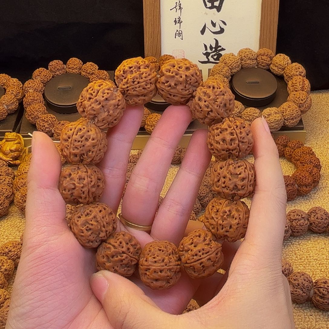 手串金刚菩提梅花龙