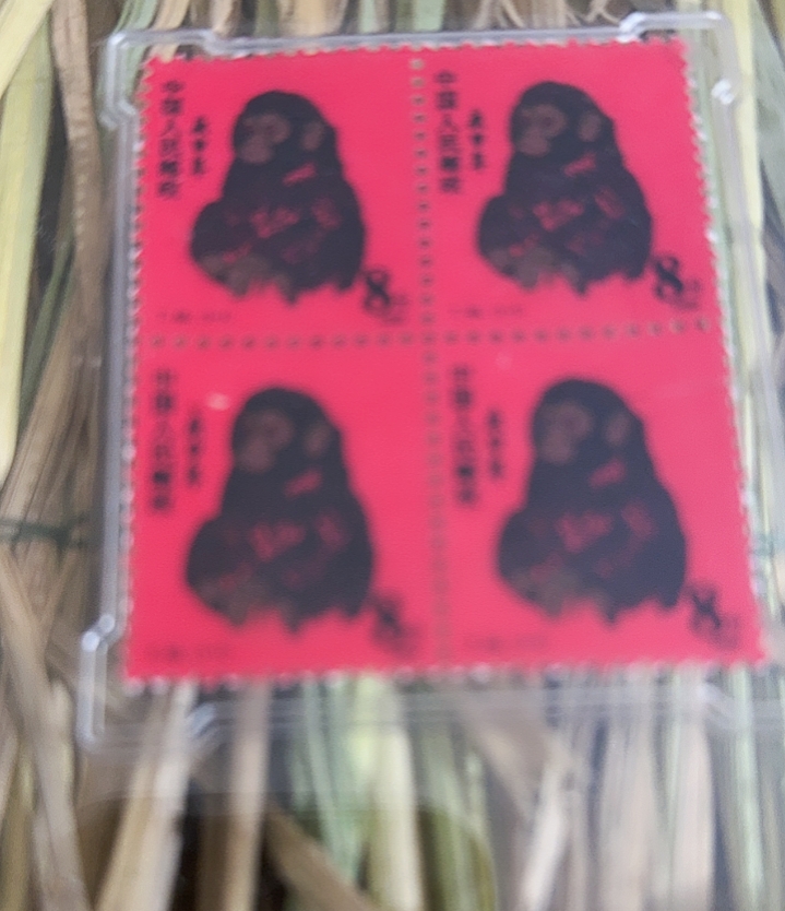 當110居家摆件一个