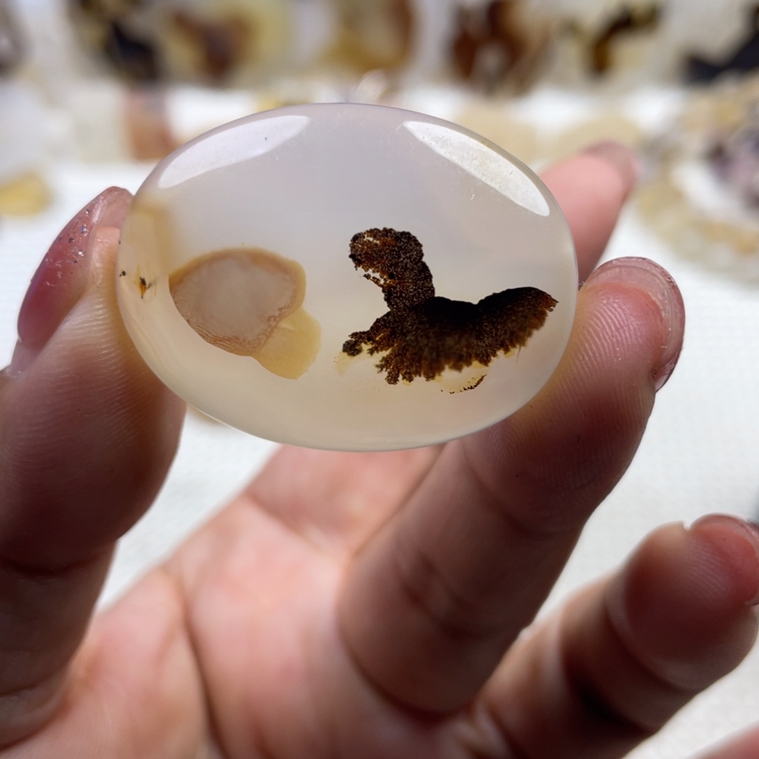 玛瑙/玉髓未镶嵌颈饰