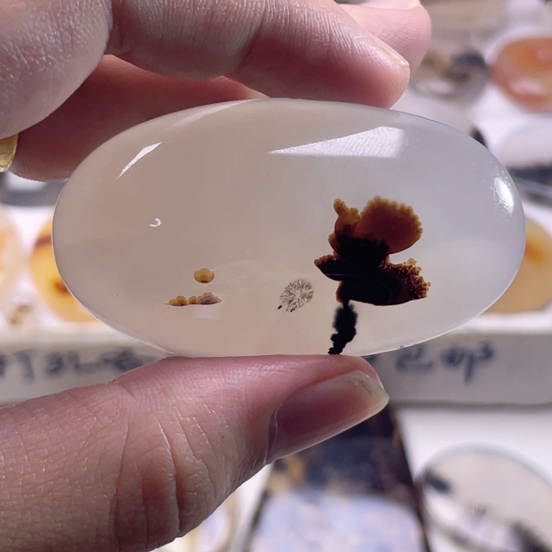 玛瑙/玉髓未镶嵌珠宝奇石