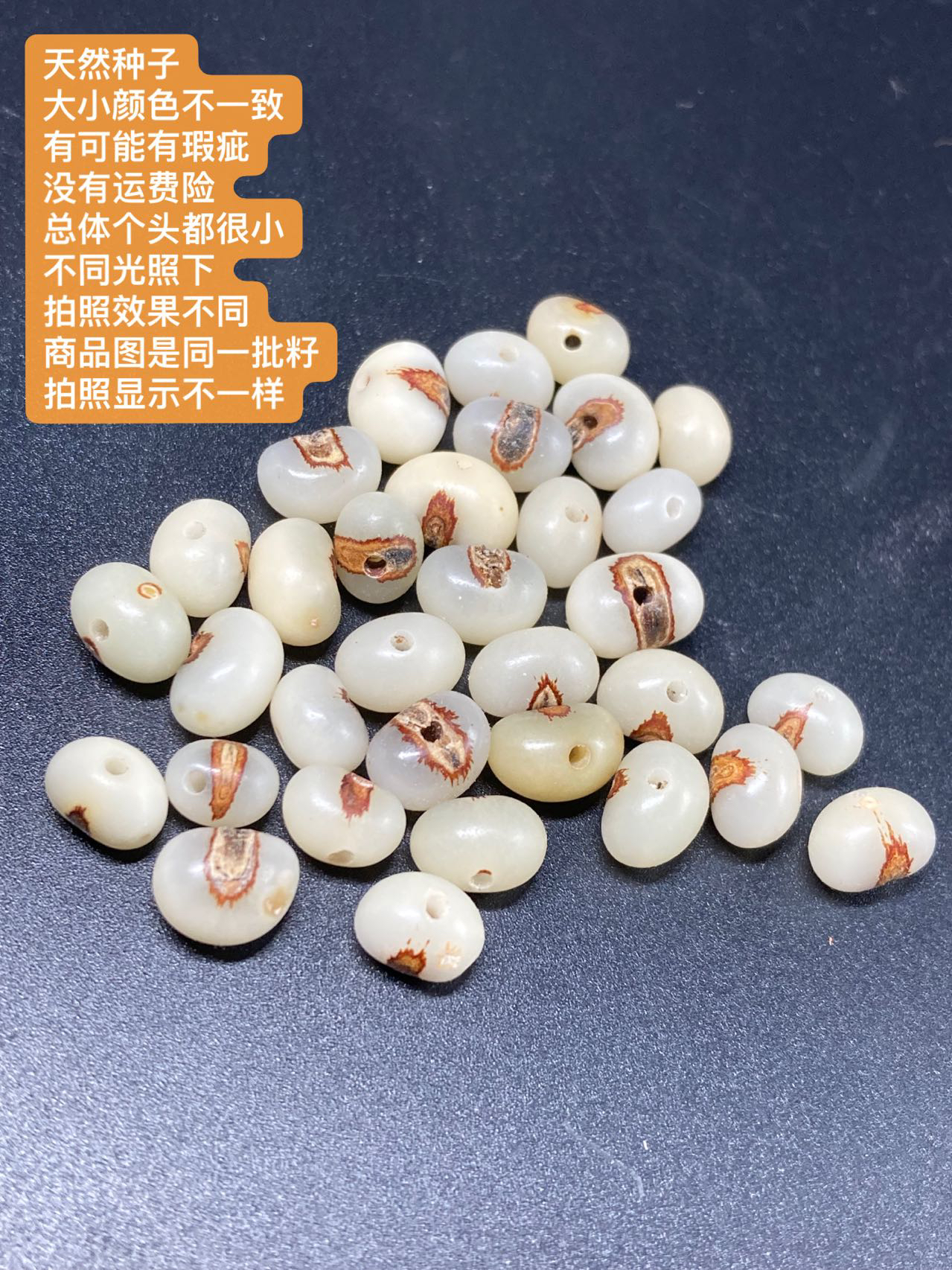 非金属木质手链 金佛草散珠已打孔抛光未去芯30颗大小颜色不一