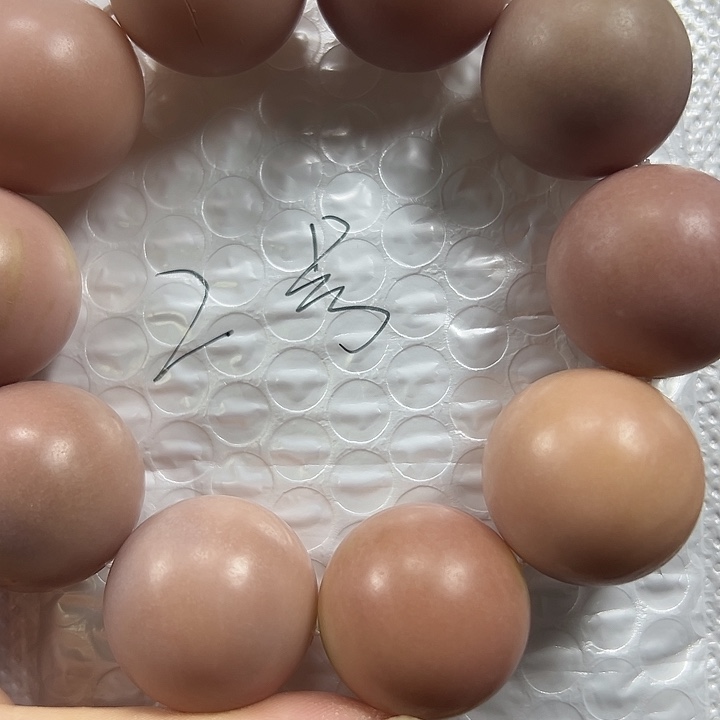 H****吊坠菩提根/象牙果