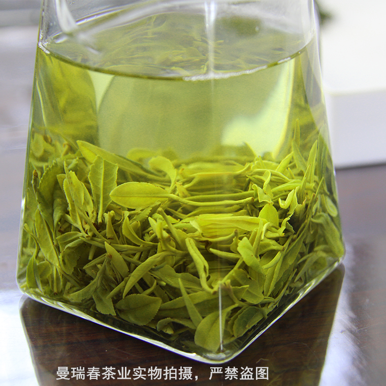 日照绿茶新茶 4月19日炒制 手工采摘 浓香 耐冲泡  工厂批发